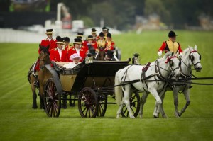 ascot Philippe 2.jpg